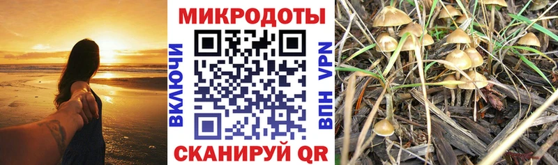 ссылка на мегу ссылки  Благодарный  Галлюциногенные грибы GOLDEN TEACHER  даркнет сайт 